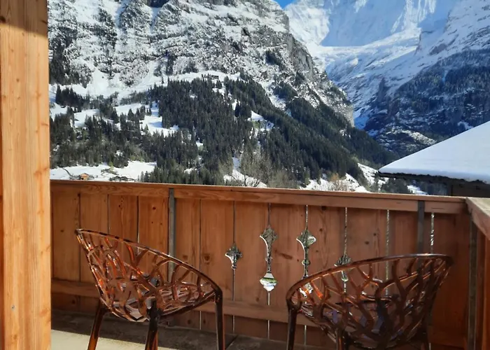 Boutique Panorama 3* 그린델발트