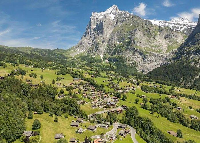 Boutique Panorama 酒店 格林德瓦