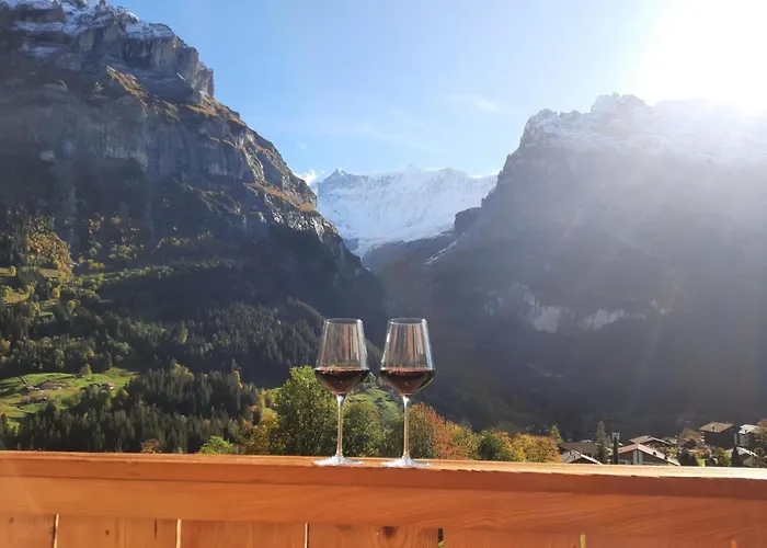 酒店 Boutique Panorama 格林德瓦